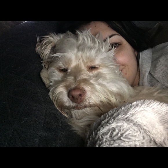 Meet your Posher, Eliza - Picture 1 of 1